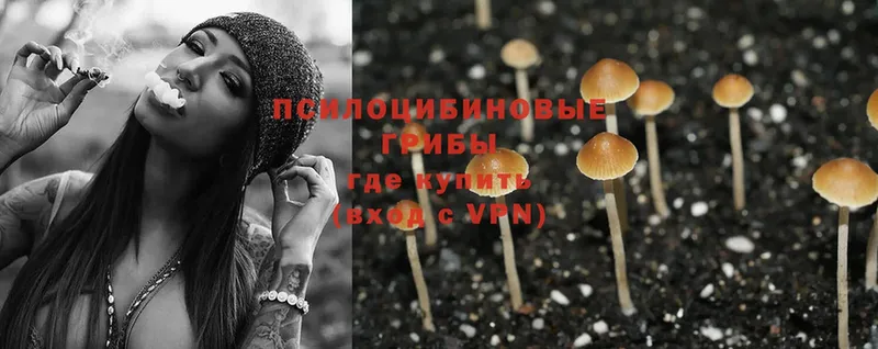 Галлюциногенные грибы Magic Shrooms  Железноводск 